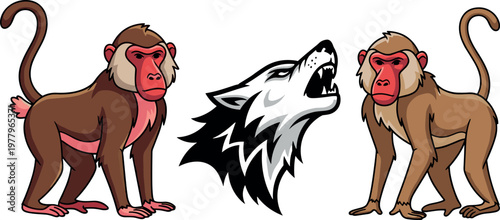 Photography Baboon monkey characters with wolf head logo illustration set cartoon animal vec