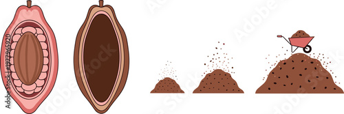 Cocoa pod and chocolate powder process set with cut fruit beans and ground cacao vector illustration collection isolated