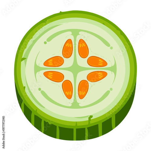 Sliced cucumber for healthy organic vegetable snack and refreshing summer salad ingredient for balanced daily diet and nutrition - Vector Illustration