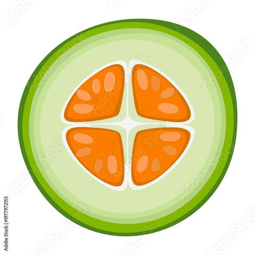 Sliced green vegetable for healthy organic cooking ingredient and seasonal harvest theme for balanced daily diet and nutrition - Vector Illustration
