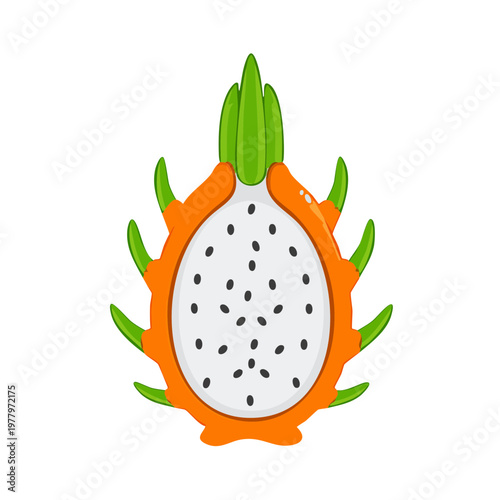 Pitaya or dragon fruit for exotic tropical theme and healthy organic vitamin rich snack for refreshing summer food - Vector Illustration