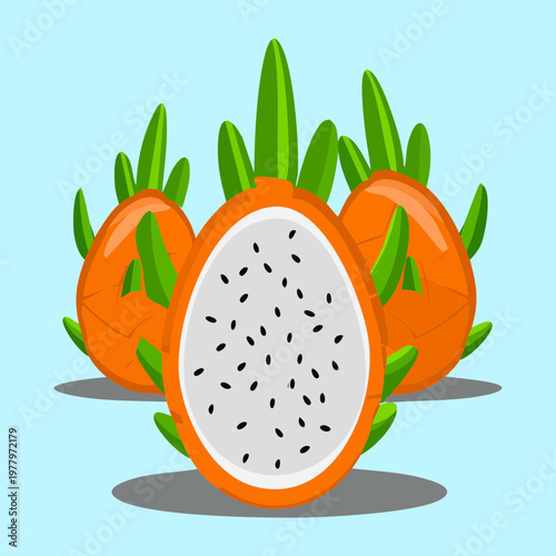 White dragon fruit with pink skin for exotic tropical taste and healthy organic antioxidant rich food choice ideas - Vector Illustration