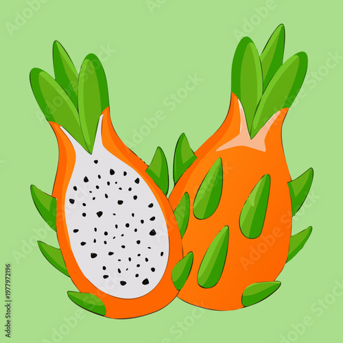 Dragon fruit and pineapple for exotic tropical fruit mix and healthy organic vitamin rich snack for summer wellness - Vector Illustration