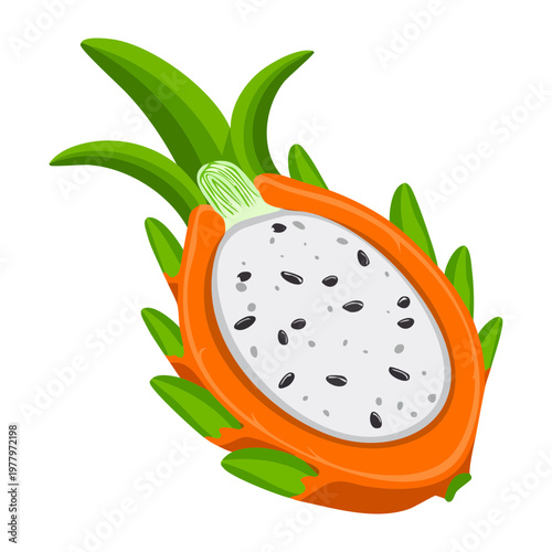 Sliced dragon fruit for exotic tropical snack and healthy organic vitamin rich fruit salad ingredient for summer wellness - Vector Illustration