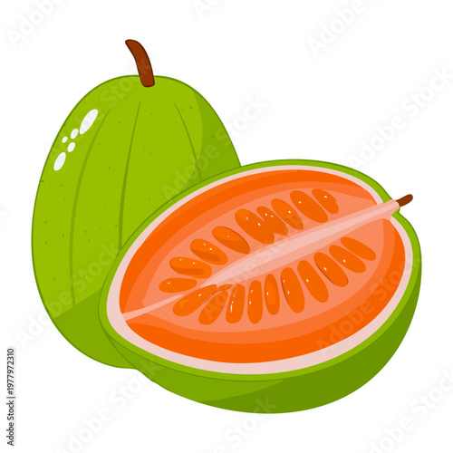 Sliced papaya for healthy organic tropical snack and refreshing summer fruit dessert for daily balanced nutrition and wellness - Vector Illustration
