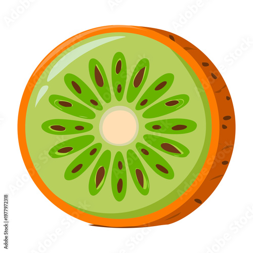 Top view of fresh kiwi fruit slice showing vibrant green pulp and symmetrical seed pattern for cooking - Vector Illustration