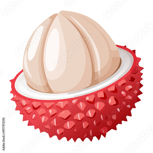 Peeled lychee fruit showing juicy white interior and red outer skin for tropical dessert recipe blog - Vector Illustration