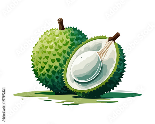 Sliced lychee fruit showing the inner seed and white juicy pulp for gourmet food photography styling - Vector Illustration