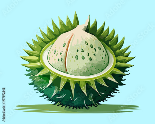 Half of a spiky green durian fruit for exotic food connoisseur and tropical fruit blog content - Vector Illustration