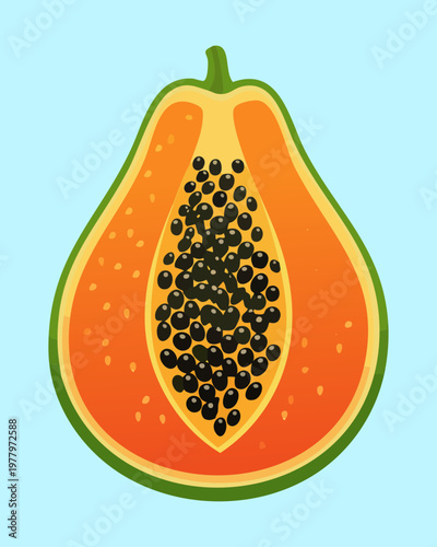 Half of a papaya fruit showing black seeds and orange flesh for tropical breakfast menu - Vector Illustration