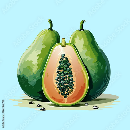 Two papayas with one sliced to reveal orange flesh and seeds for fruit market - Vector Illustration