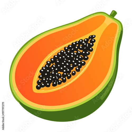 Ripe papaya fruit with seeds for healthy lifestyle blog and exotic cooking ingredients - Vector Illustration