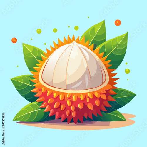 Exotic rambutan fruit with red hairy skin and white flesh inside for tropical summer theme and healthy snacks - Vector Illustration
