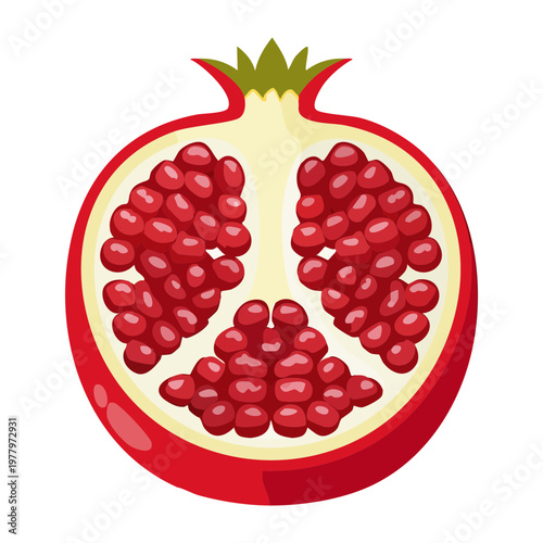 Minimalist red pomegranate fruit cross section showing juicy pulp and seeds for modern culinary art and kitchen decor - Vector Illustration