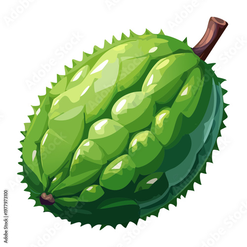 Large green durian fruit with sharp spikes for tropical fruit store signage and organic farm marketing - Vector Illustration