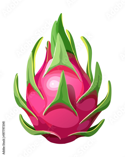 Pink dragon fruit with green scales for exotic tropical fruit market and healthy smoothie bowl ingredients - Vector Illustration