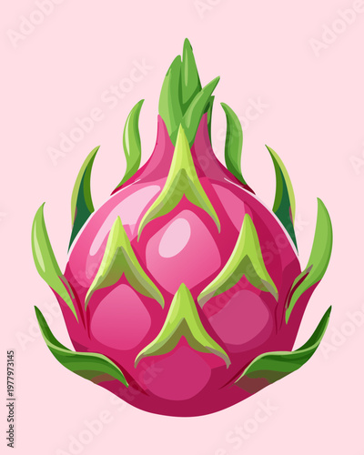 Vibrant pink pitaya fruit for tropical theme party invitations and healthy organic food blog post graphics - Vector Illustration
