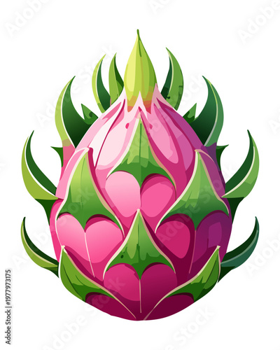 Exotic dragon fruit with colorful pink and green skin for healthy lifestyle branding and tropical fruit - Vector Illustration