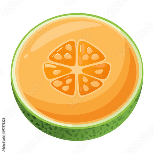 Cross section of orange melon fruit for healthy lifestyle blog posts and organic grocery store marketing - Vector Illustration