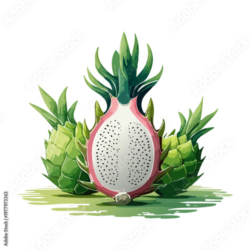Pair of whole dragon fruits for exotic fruit market branding and healthy organic lifestyle social media - Vector Illustration