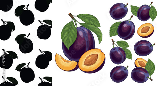 Plum fruit vector illustration set featuring realistic whole and sliced plums with leaves and seamless silhouette pattern design
