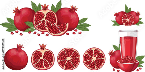 Pomegranate fruit illustration set with whole fruits sliced halves seeds and juice glass detailed vector isolated on white background