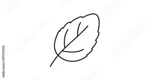 Simple line art illustration of a mint leaf on a white background