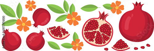 Pomegranate fruit illustration set with whole fruit sliced pieces seeds leaves and flowers flat vector isolated on white background