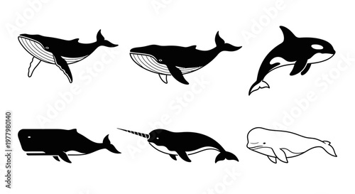 Flat design whale and ocean animal icon set