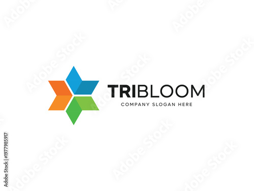 Geometric Colorful Flower Logo