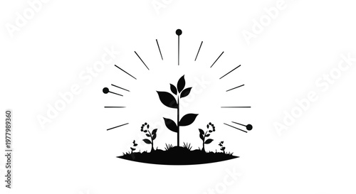 Symbol of growth and new beginnings, a vibrant plant emerges from the soil with radiating light.