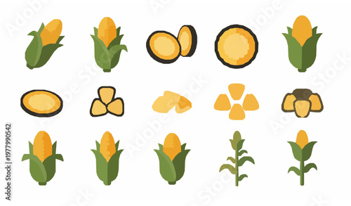 Stylized corn icon set vector with cob kernel and plant elements flat food agriculture collection