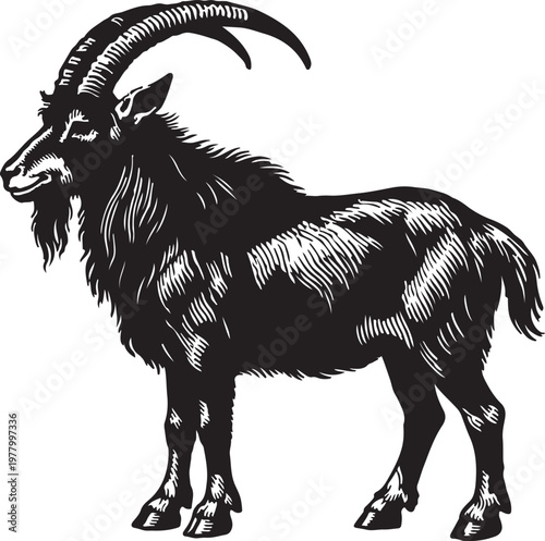 Vintage Goat Engraving Illustration, Horned Farm Goat in Retro Woodcut Style