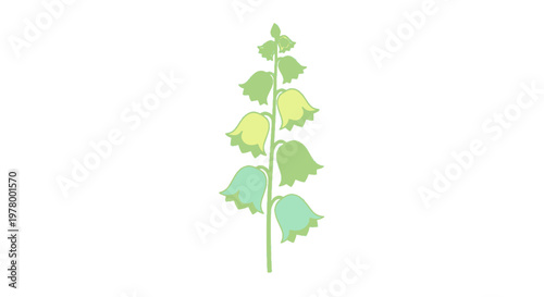 Bellflower illustration in pastel shades of green and yellow showcasing a botanical vector design element with soft elegant floral details