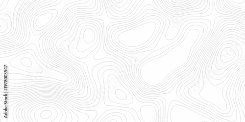 Abstract minimal The pattern discovery vector topo map creative discovery White wave grid stripe line map topography. vector geographic contour mounted map background.