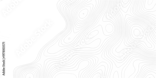 Abstract minimal The pattern discovery vector topo map creative discovery White wave grid stripe line map topography. vector geographic contour mounted map background.