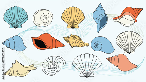 Assortment of colorful seashells of various shapes and species set against a light blue background representing marine life.