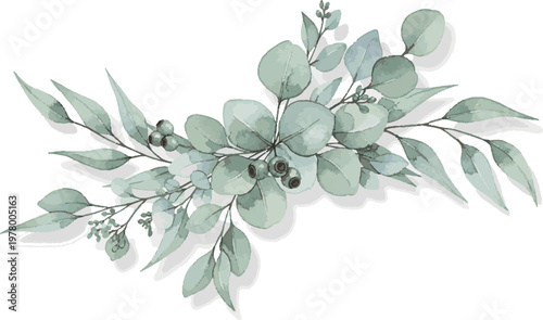Watercolor eucalyptus leaves and berries branch with hand drawn plant part eucalyptus botanical watercolor illustration background decoration artistic isolated fragrance