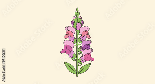 Canvas Print Upward-facing snapdragon flowers in various shades of pink and purple on a light