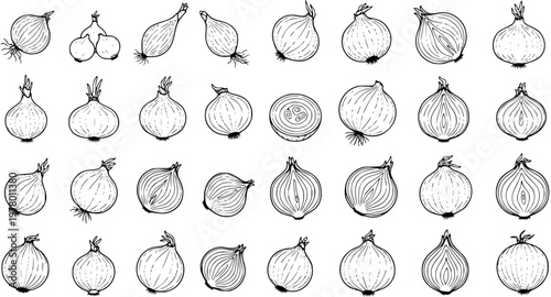 Detailed hand-drawn outline vector illustrations of various onions, featuring whole and sliced bulbs, perfect for food and cooking design elements.