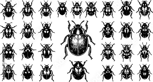 Beetle Variety: Ink Sketch Vector Illustration of Diverse Bug Species