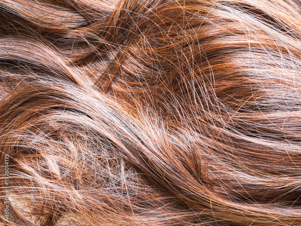 Fototapeta premium Scalp brown hair hairy woman clean and clear dandruff, close up brown hair healty non problem, lifestyle medical hygiene care head, healthcare beauty concept.