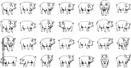 Detailed hand-drawn black and white line art illustrations of various pigs. A collection of farm animal icons and livestock symbols, perfect for agriculture and food industry designs.
