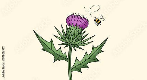 Hand-drawn illustration of a purple thistle flower visited by a bee depicted against a cream background in a cartoon style