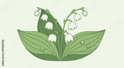 Illustration of blooming lily of the valley featuring white bell shaped flowers and green leaves on a light backdrop in a botanical style