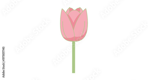 Illustration of a single light pink tulip flower with soft green outlines and stem on a clean white backdrop for elegant floral design projects