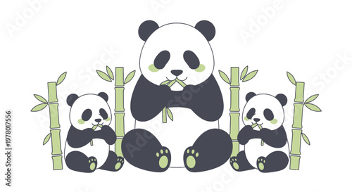 Three cute pandas eating bamboo shoots illustration in cartoon style; a family of adorable bears having a snack surrounded by green bamboo plants