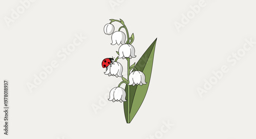 Illustration of lily of the valley flowers with a ladybug resting on a white bell-shaped bloom in a cartoon style