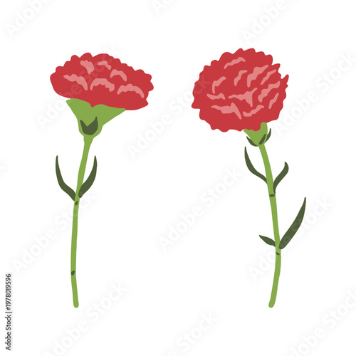 シンプルな赤いカーネーションの手書きイラスト　5月母の日の素材
