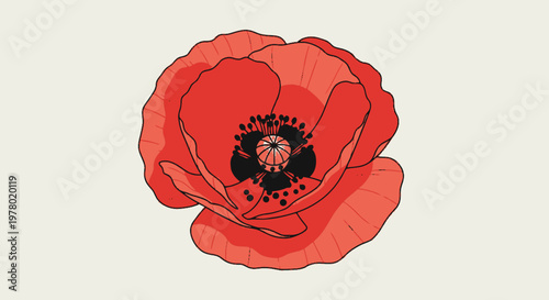 Illustration of a vibrant red poppy flower with black stamen in full bloom detailed line art vector design on a clean background floral beauty